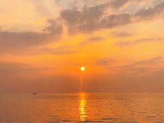 -渡海小渔村.老辈日照菜