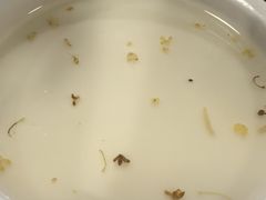 自制杏仁豆腐-姚记炒肝店(鼓楼店)