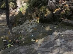 -五女峰国家森林公园