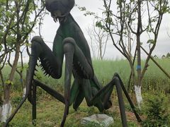 -黄龙溪欢乐田园