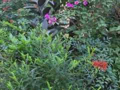 -忆江南·临江鱼馆