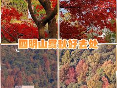 -四明山国家森林公园
