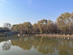 -西安浐灞国家湿地公园