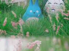 -汕尾风车岛