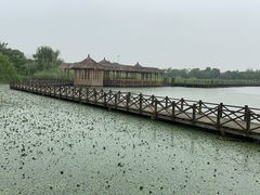 -梁鸿国家湿地公园