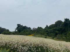-保利石象湖景区