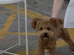 -野徐·咖啡烘焙