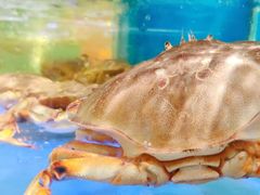 -盒马鲜生(悠方店)