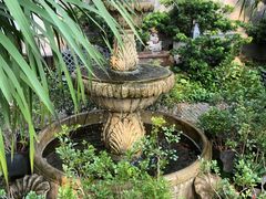 -more than meow吴止猫主题餐厅(承德 中船汇店)