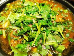 黔味水煮肉片-树厨地道黔菜(凯里韶山南路店)