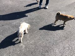 -东天目山风景区