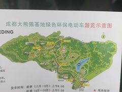景点-成都大熊猫繁育研究基地