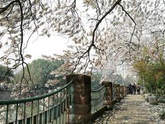 -成都市活水公园