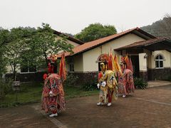 -田野绿世界