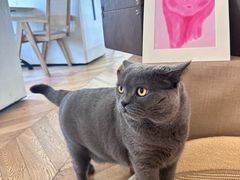 -Me Coffee下午茶艺术空间