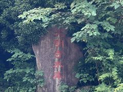 -龙坞茶村