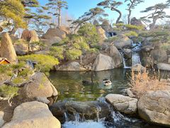 -罗红摄影艺术馆