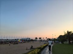 -碧海金沙