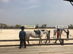 -松声马术俱乐部