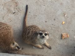 -石家庄市动物园