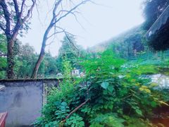 -随意茶庄·地道杭帮农家菜(梅家坞店)