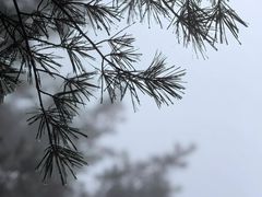 -秦岭天竺山景区