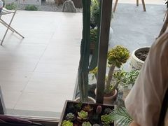 -喜茶(珠海华发商都店)