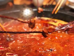 小郡肝-香佰里鲜货火锅(佳乐金街店)