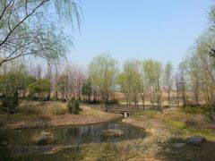 android_upload_pic-新江湾城公园