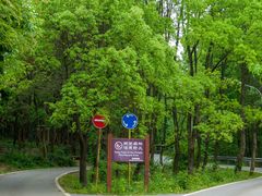 -青龙山国家森林公园