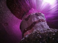 -水晶之星洗浴温泉汗蒸