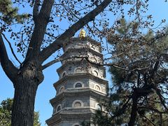 -湛山寺