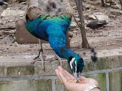 -开元溶洞