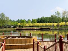 -东郊湿地公园