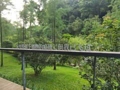 -云溪植物园