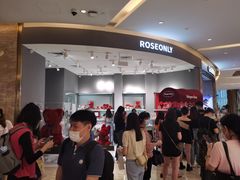 -ROSEONLY诺誓(广州K11店)