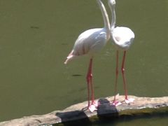 iphone_upload_pic-吉隆坡雀鸟公园