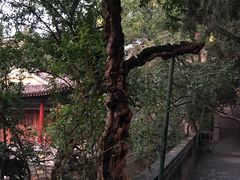 -华清宫景区