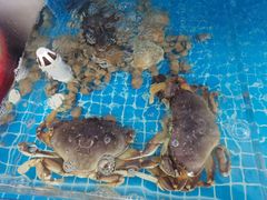 -聚德福海鲜家常菜(刘庄店)