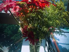 -八喜冰淇淋蛋糕(富国店)