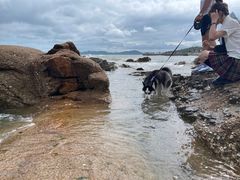 -青岛第二海水浴场