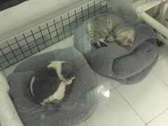 -娜娜家•Nana’Garden (福州道店)