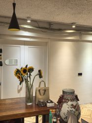 -无界瑜伽普拉提