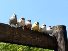 -胡里山炮台