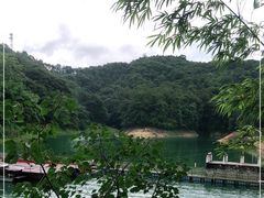 -广州市流溪河国家森林公园