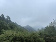 -莫干山风景区