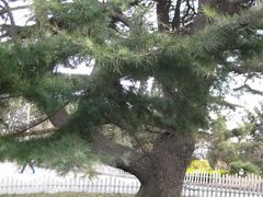 -青岛德国总督楼旧址博物馆