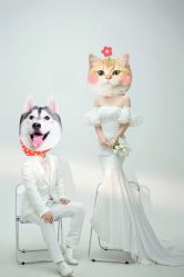 -金夫人婚纱摄影(总店)