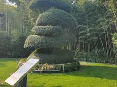 -苏州河梦清园环保主题公园