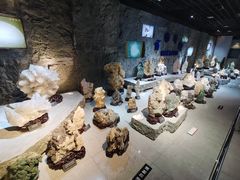 -中国地质大学逸夫博物馆